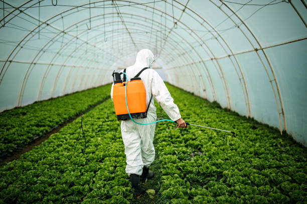Best Ant Control Services  in Baker, LA