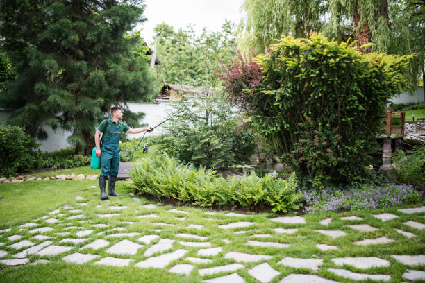 Best Affordable Pest Control Services  in Baker, LA