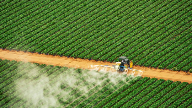 Professional Pest Control in Baker, LA