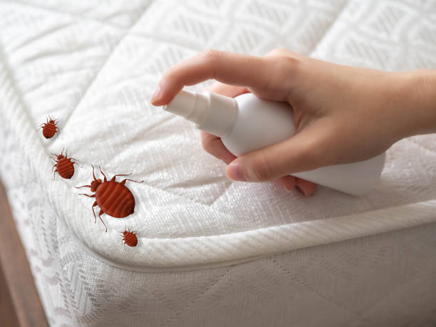 Best Best Pest Control Companies  in Baker, LA