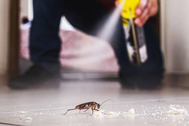 Best Pest Control Near Me  in Baker, LA