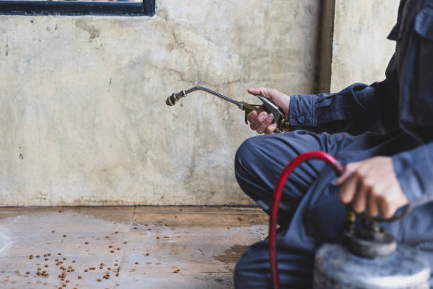 Best Pest Removal Services  in Baker, LA