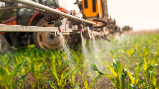 Best Mosquito Control Services  in Baker, LA