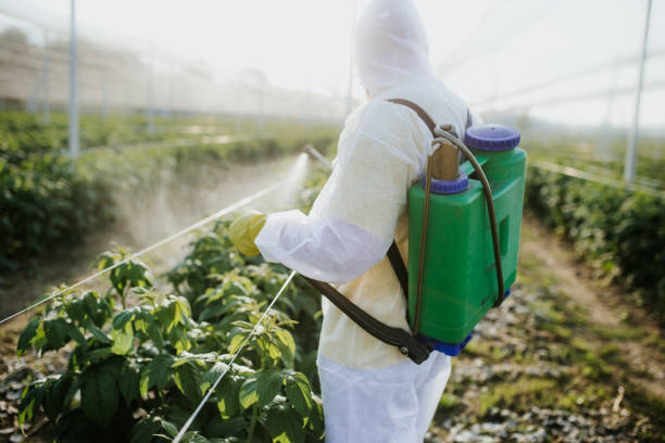 Insect Control in Baker, LA